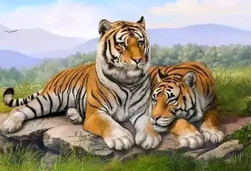 883e7547aa16ff34ddc1bc6328332306 883e7547aa16ff34ddc1bc6328332306