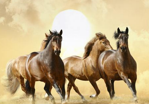 b204516ed3f42d0f85c5a4624c03675d b204516ed3f42d0f85c5a4624c03675d