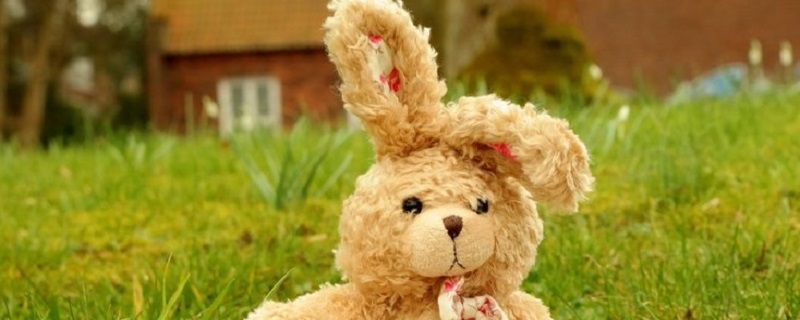 2023年犯太岁的生肖属相是 生肖兔值太岁