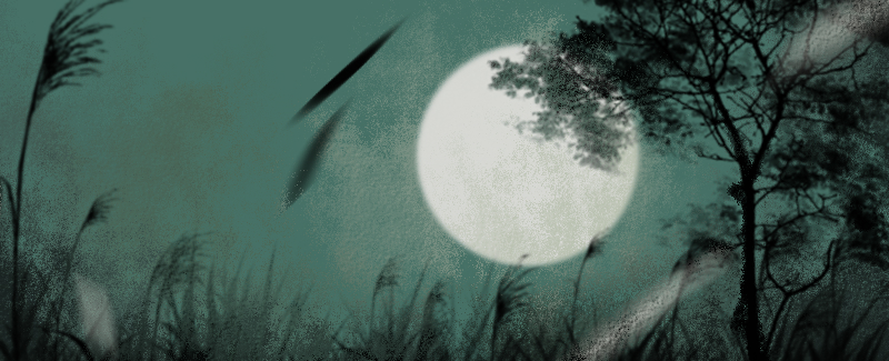 2023属兔的正月出生好吗 可以获得很多的财富